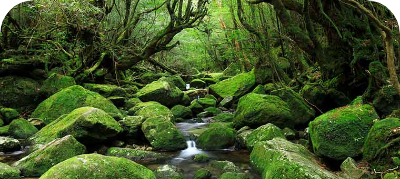 屋久島